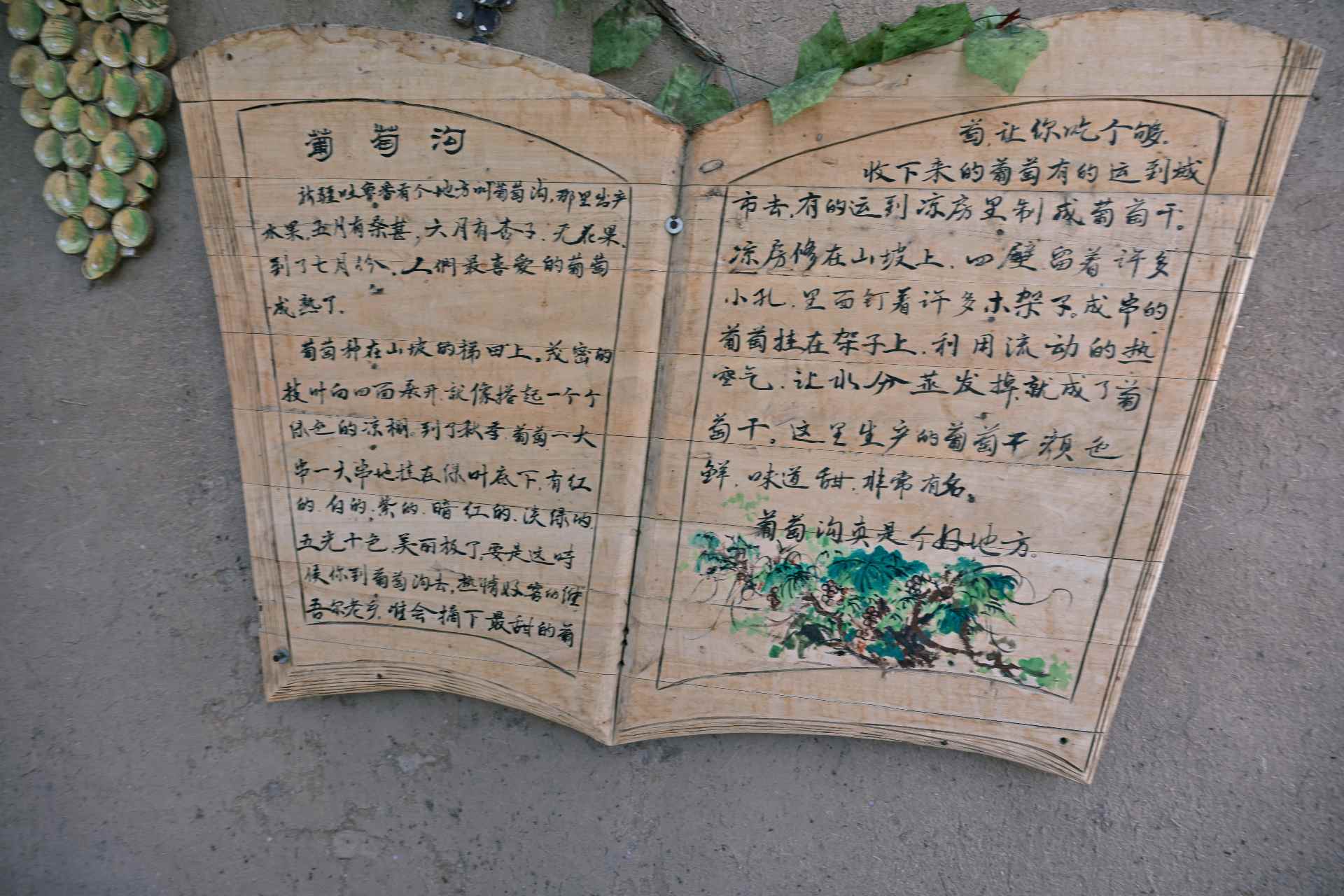 葡萄沟课文介绍文章